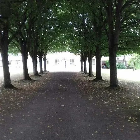 Les Tilleuls Le Planquay